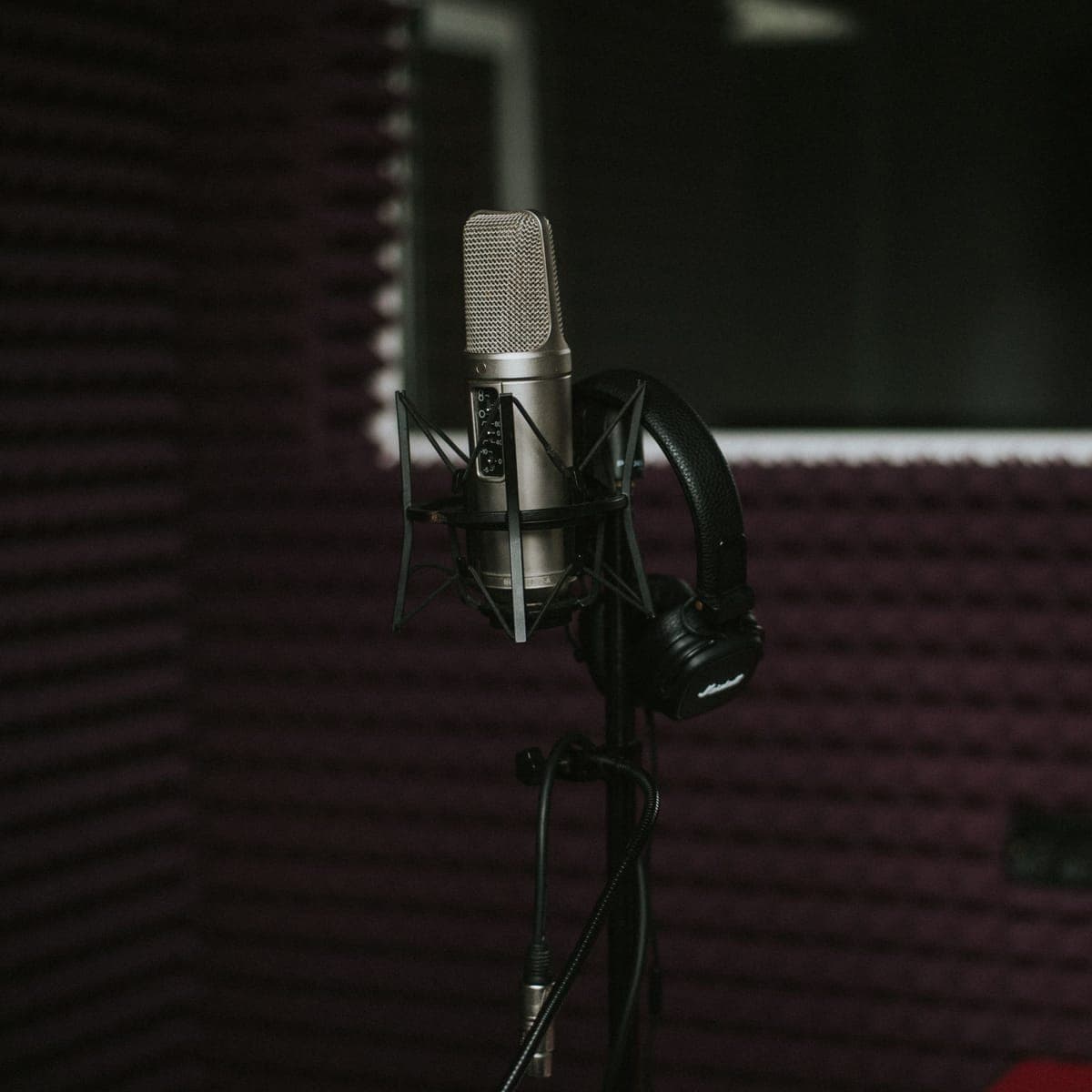 A condenser microphone set up in a treated studio booth.