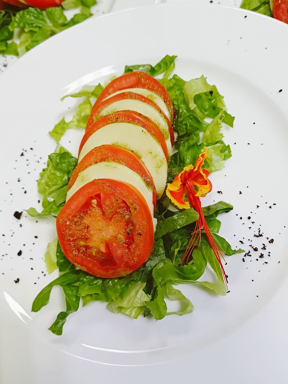 Nutrition plan